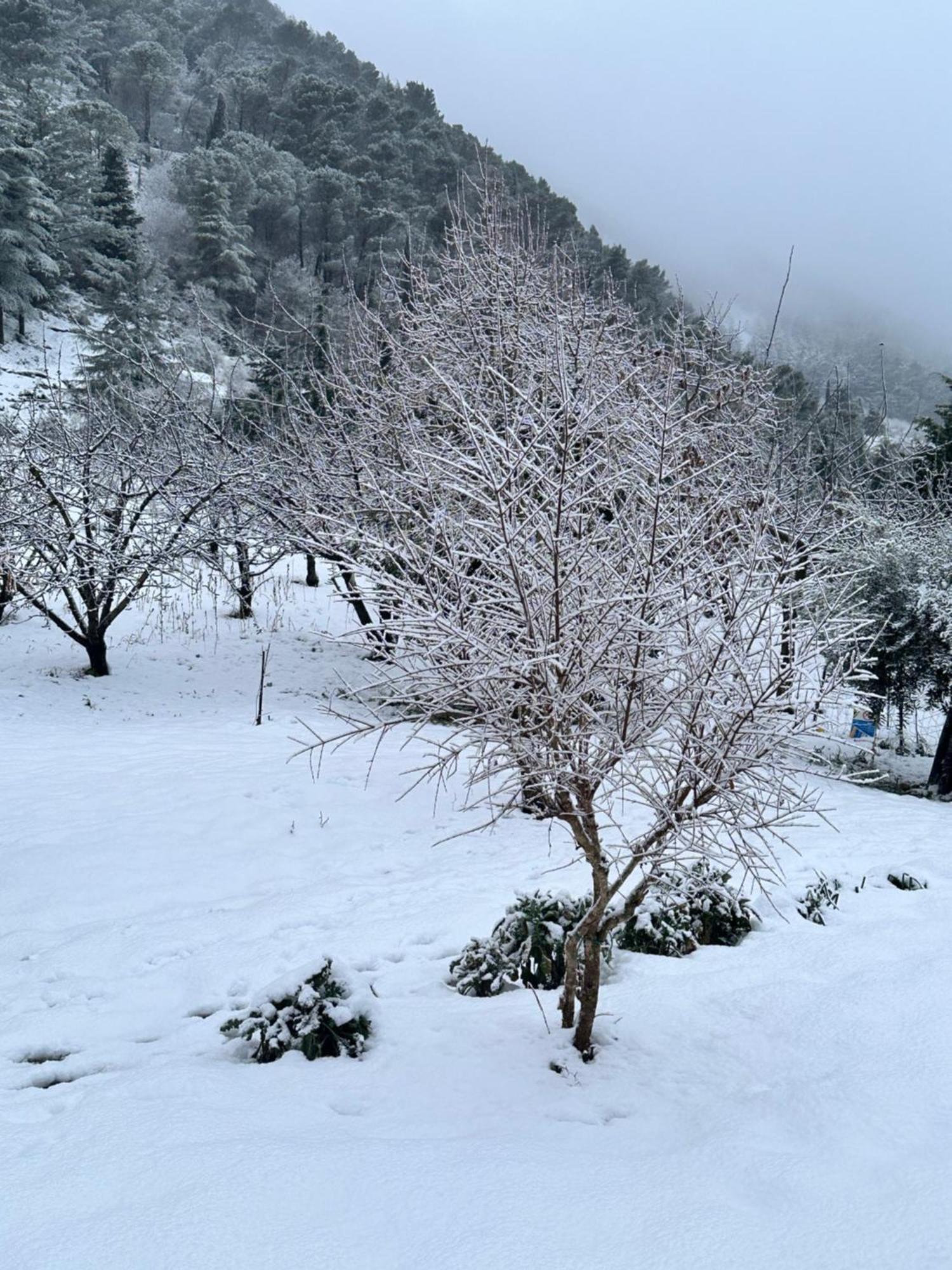 Agriturismo Serra Moneta Santo Stefano Quisquina Eksteriør billede